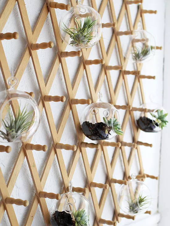 Coat Rack Hanging Garden