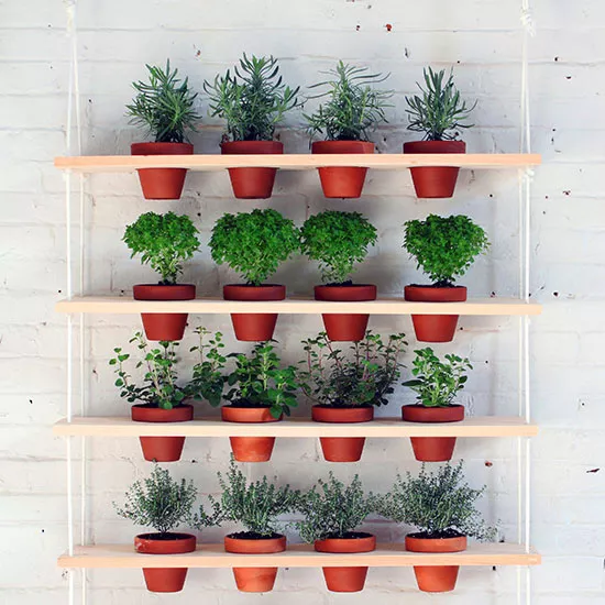 DIY Hanging Wooden Shelf Vertical Garden