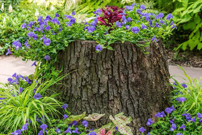 Colorful tree stump planter #decorhomeideas