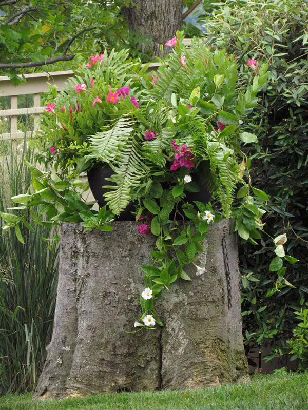 Create a mini bog garden #decorhomeideas