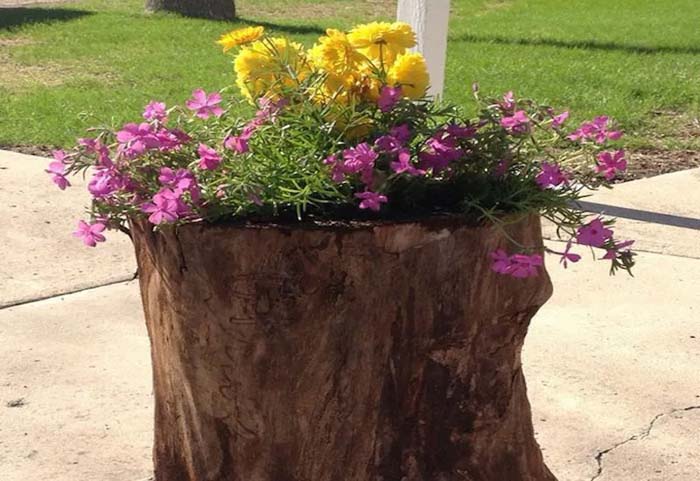 Natural movable stump #decorhomeideas