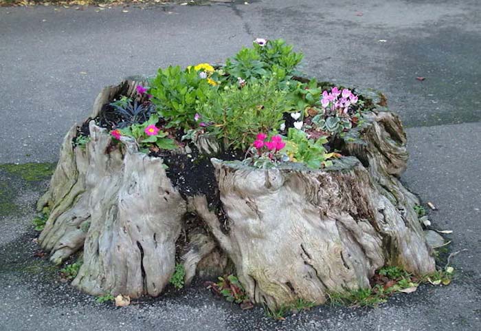 Rotting evil tree stump #decorhomeideas