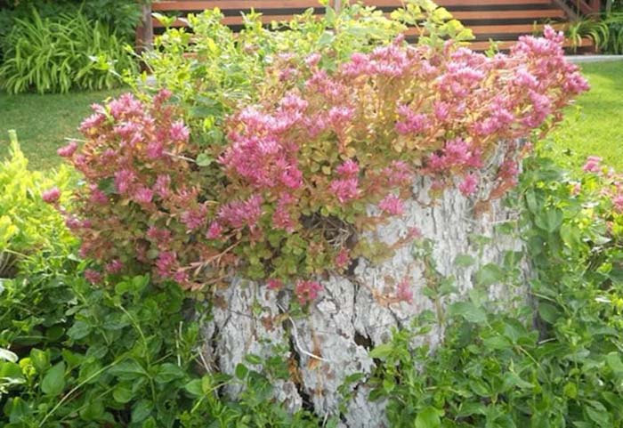 White painted tree stump #decorhomeideas