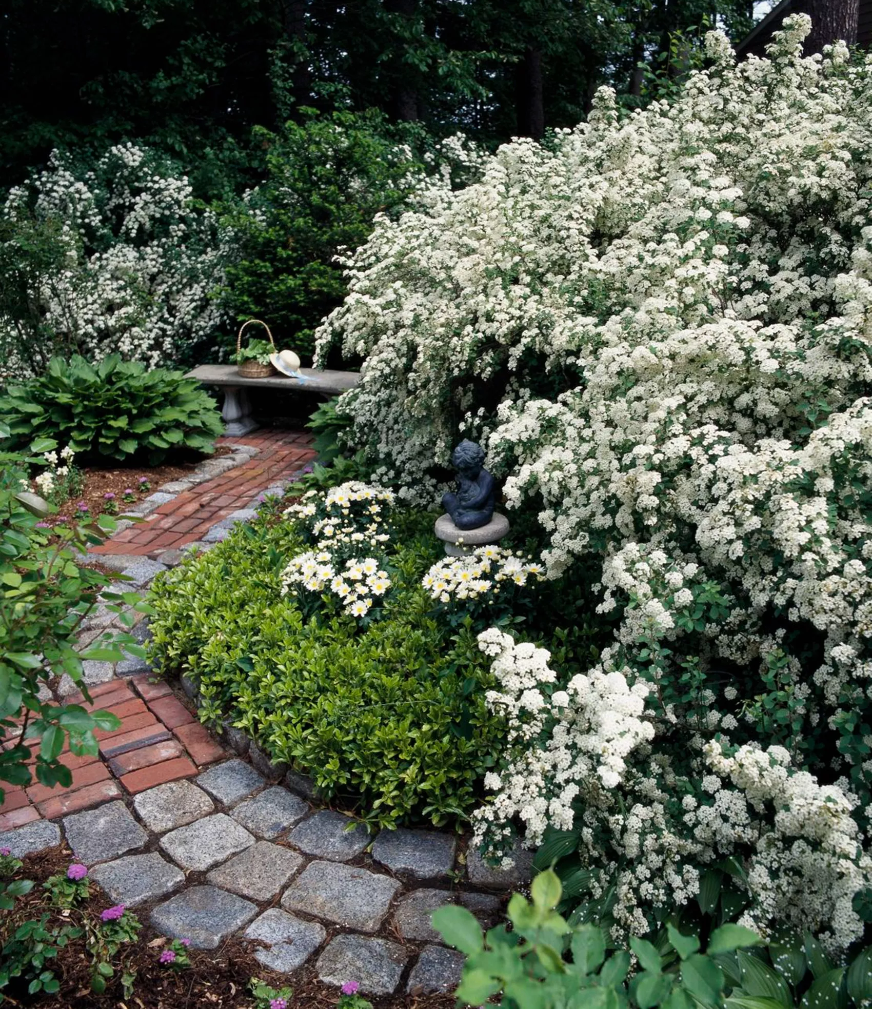 brick pathway in garden with white flowers