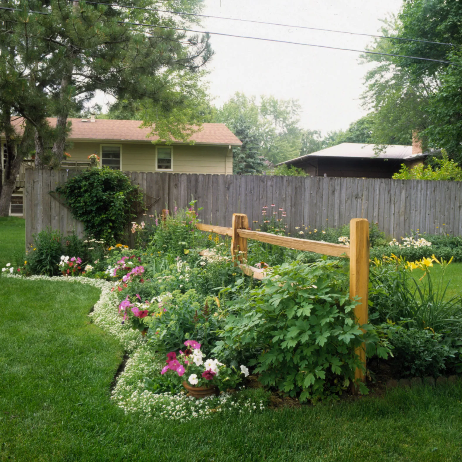 Backyard garden