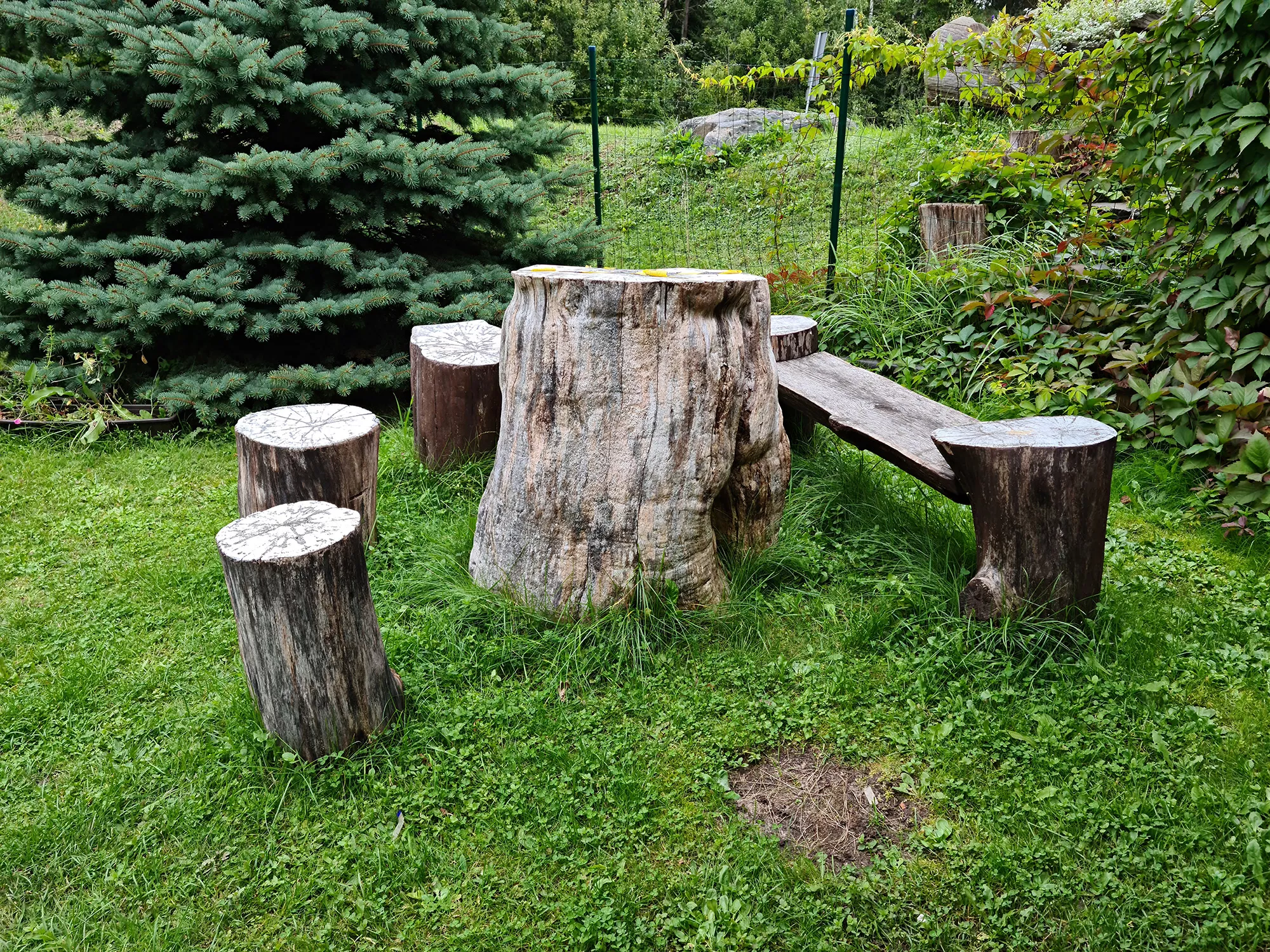 log seats in garden