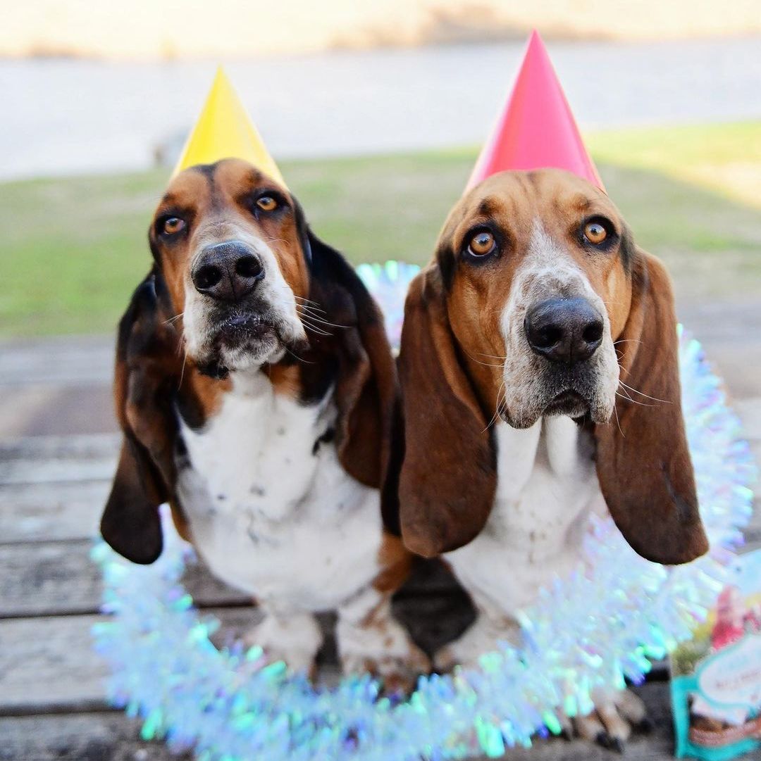 125 Best Birthday Wishes and Messages for a Best Friend