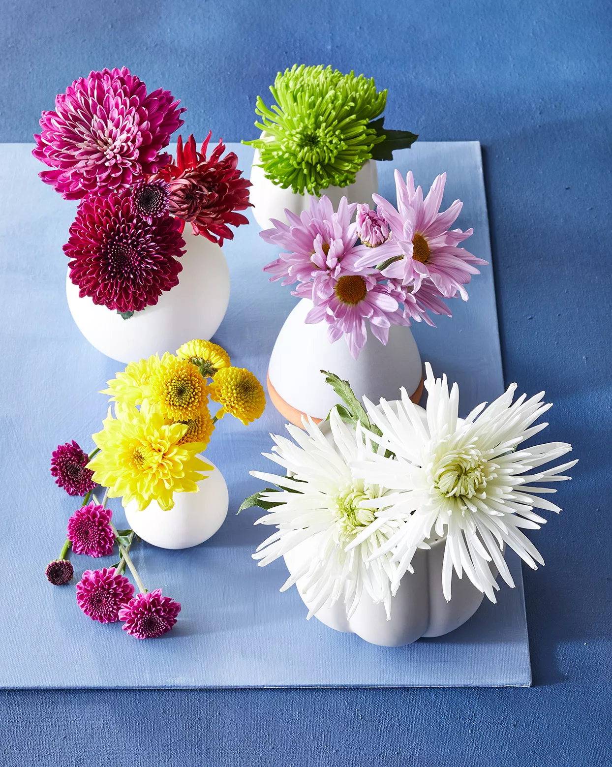 cut chrysanthemum varieties in vases