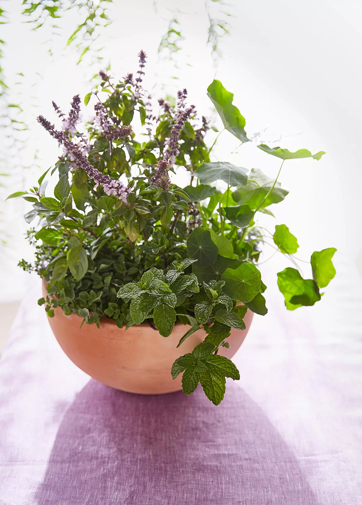 herbs and edible flowers in oversize pot