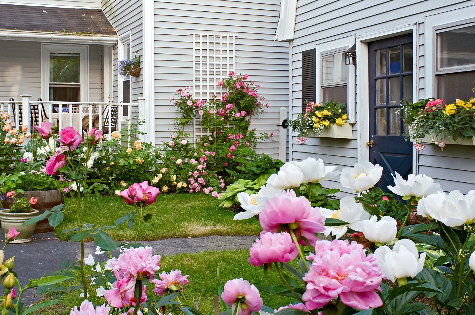 home with pink and white peonies