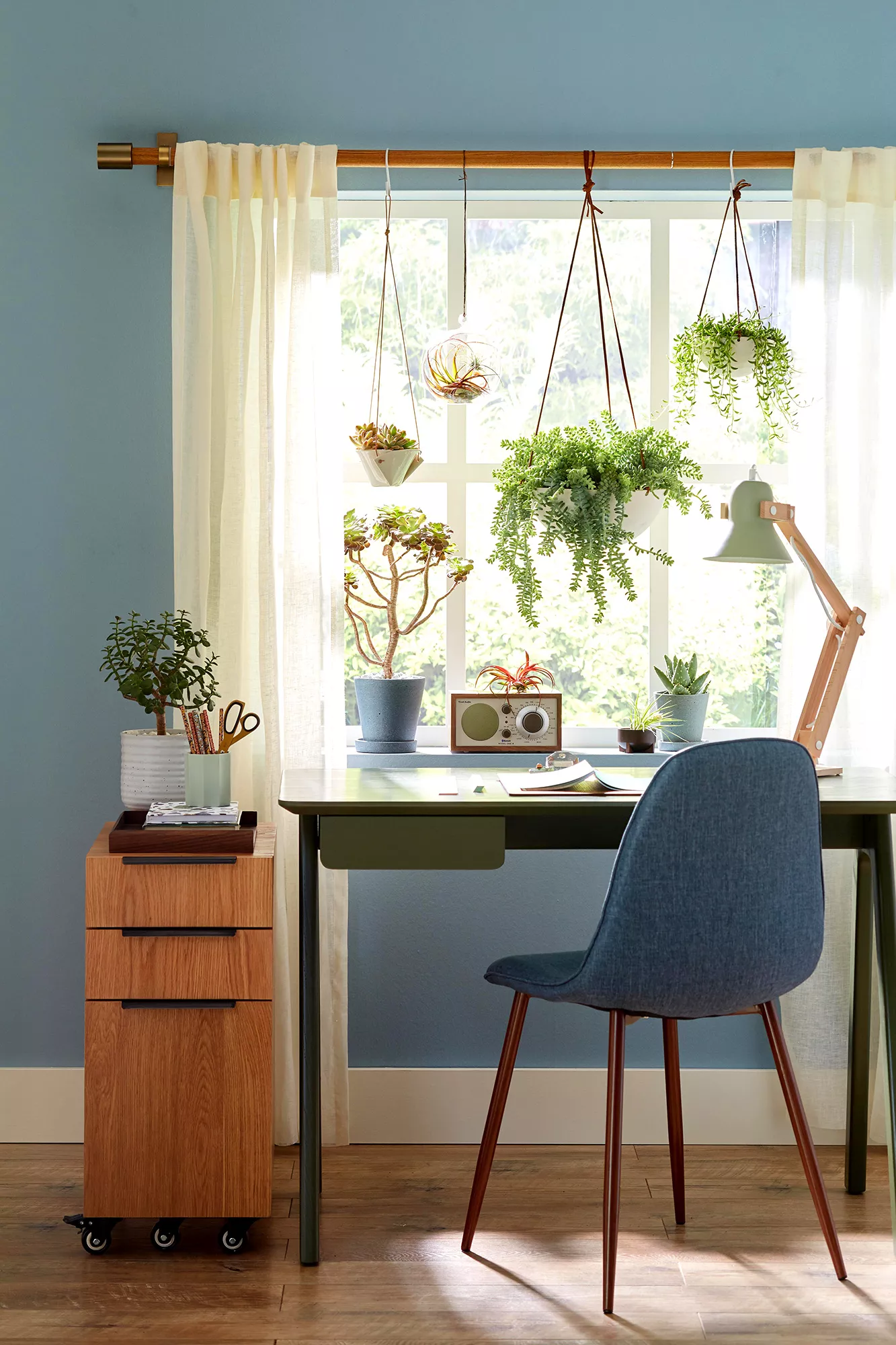 office space with hanging plants