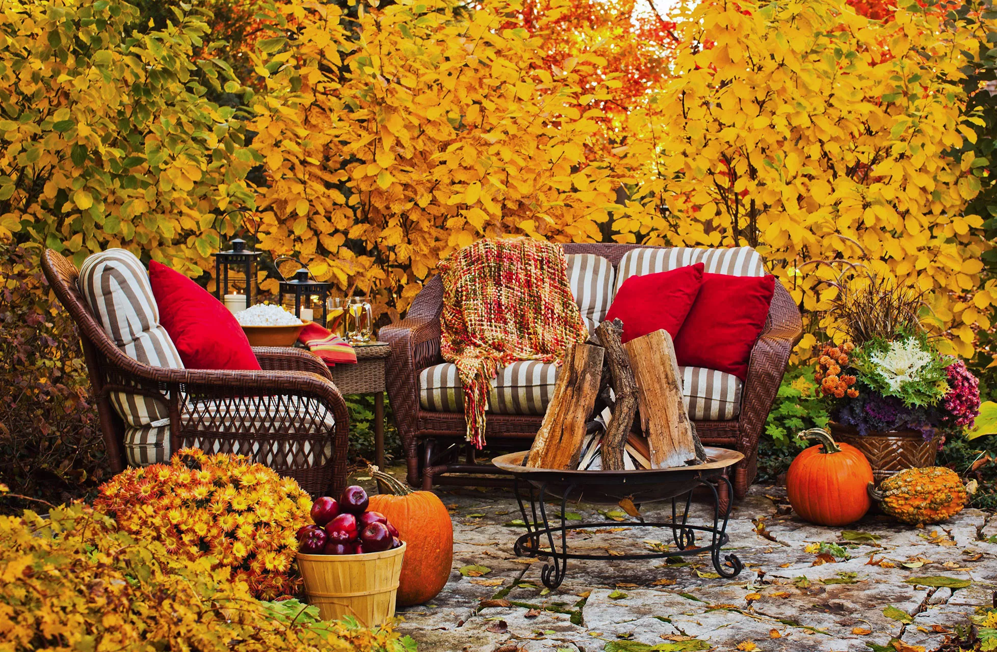 outdoor furniture fire pit in backyard fall