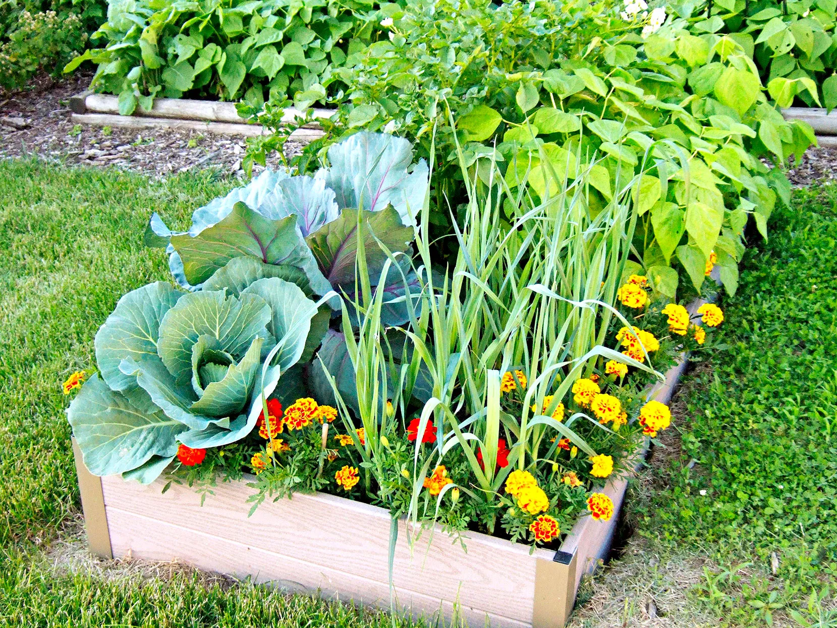 Raised bed vegetable garden with flowers