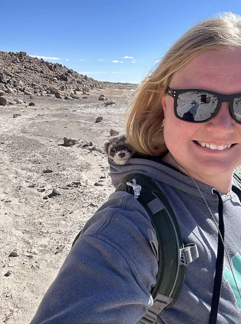 Ferret sitting in hoodie of hiker