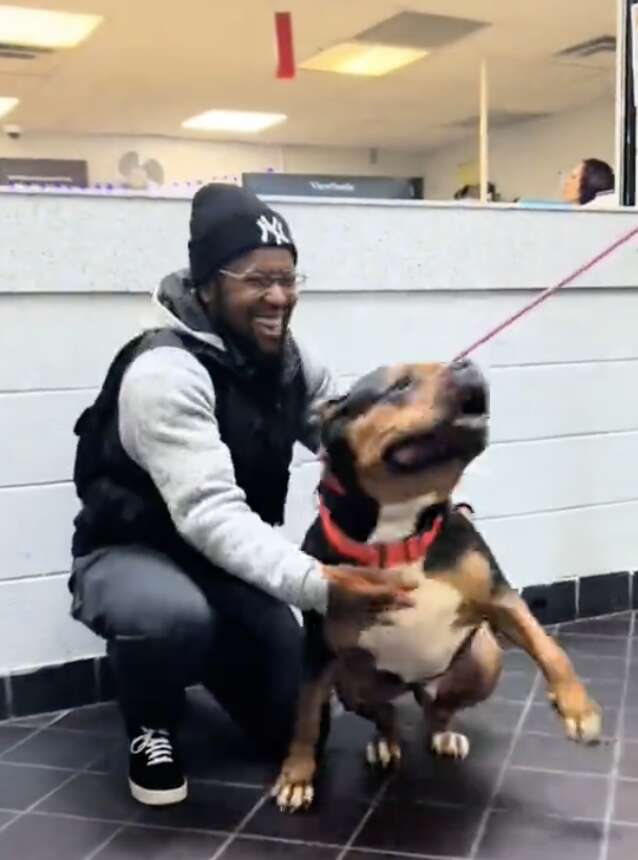 Dog wearing red collar with happy man holding him