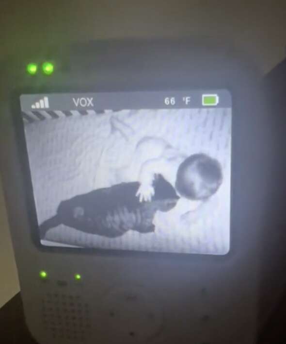 Cat cuddling with baby on baby monitor