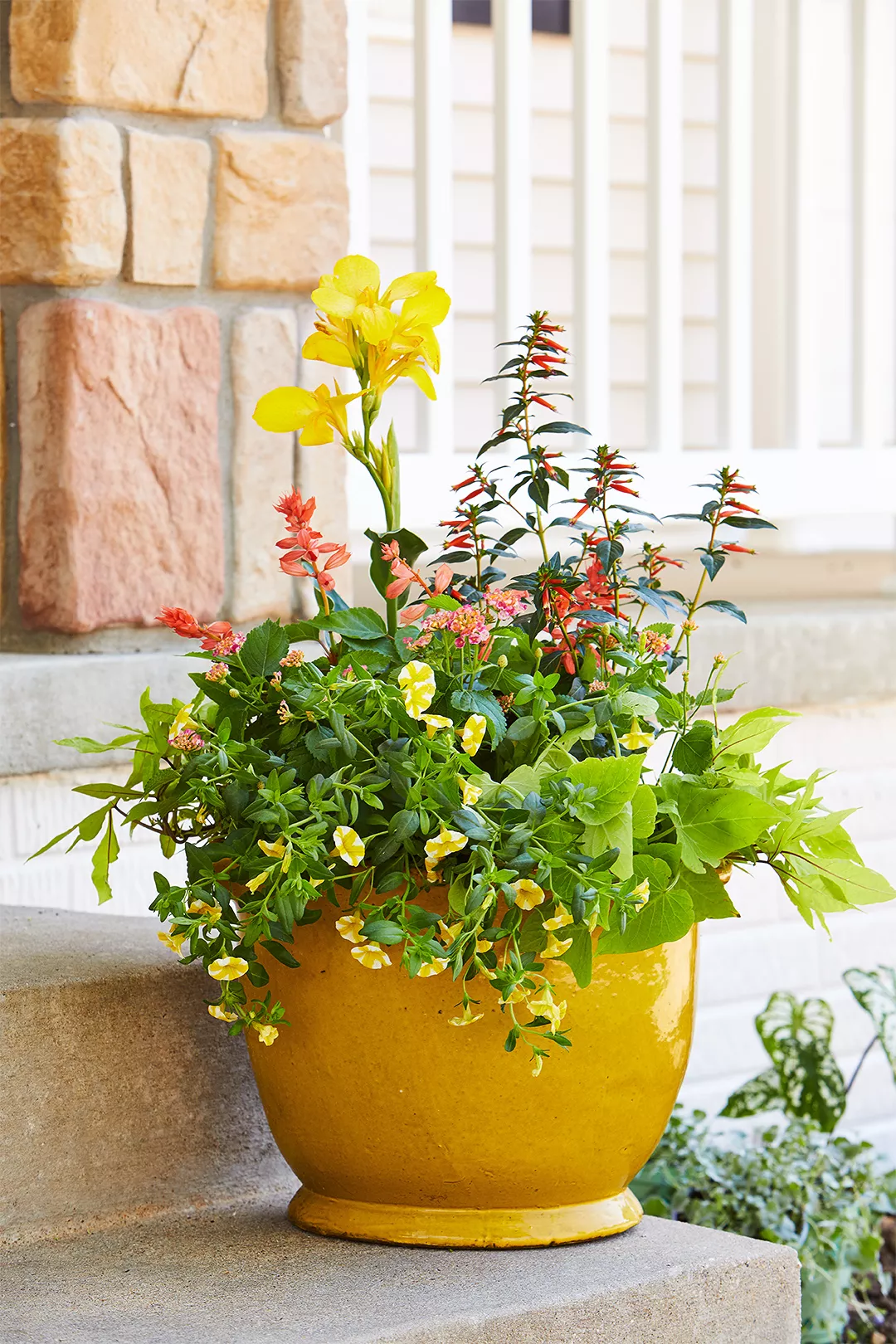 short yellow pot with flowers