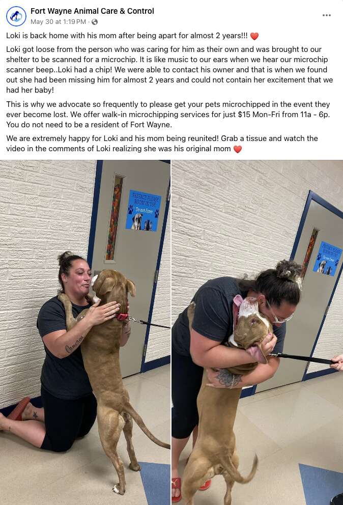 Facebook screenshot of post about pit bull reuniting with mom
